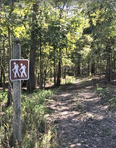 164 Dogwood Park Trail 1204, Branson, MO 65616