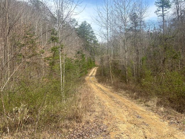 0 Left Fork Cains Creek Road, Blaine, KY 41124