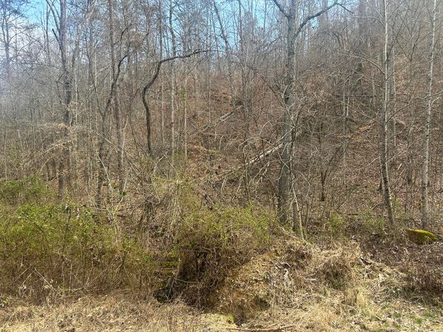 0 Left Fork Cains Creek Road, Blaine, KY 41124