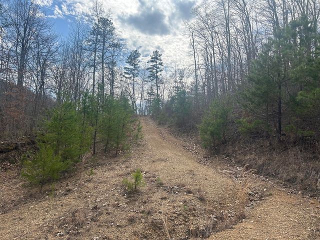 0 Left Fork Cains Creek Road, Blaine, KY 41124