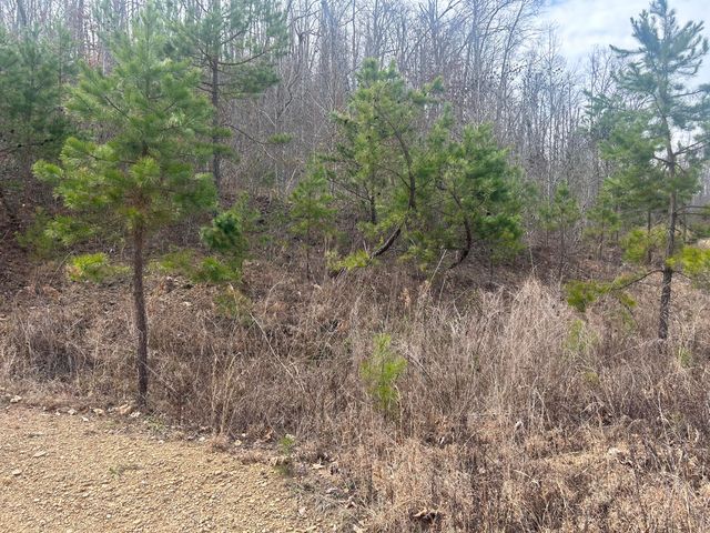 0 Left Fork Cains Creek Road, Blaine, KY 41124