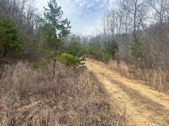 0 Left Fork Cains Creek Road, Blaine, KY 41124