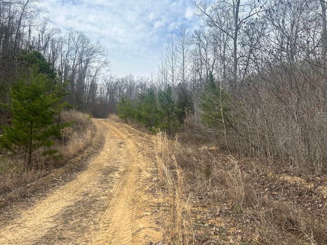 0 Left Fork Cains Creek Road, Blaine, KY 41124