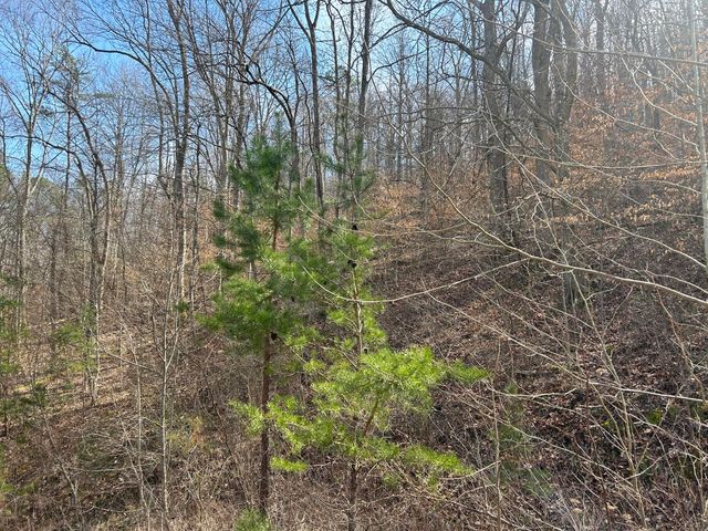 0 Left Fork Cains Creek Road, Blaine, KY 41124