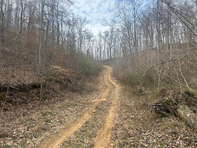 0 Left Fork Cains Creek Road, Blaine, KY 41124