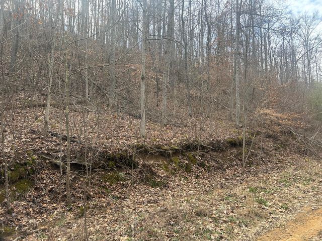 0 Left Fork Cains Creek Road, Blaine, KY 41124