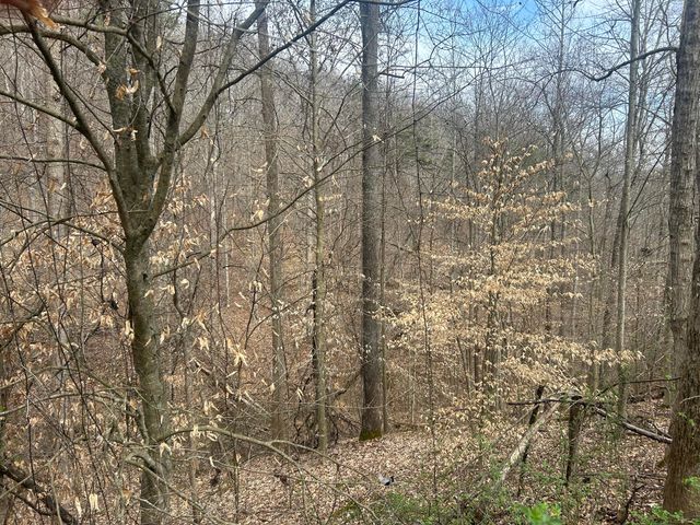 0 Left Fork Cains Creek Road, Blaine, KY 41124