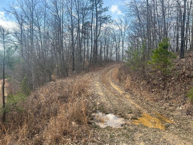 0 Left Fork Cains Creek Road, Blaine, KY 41124