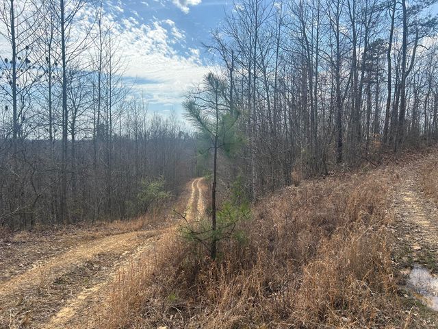 0 Left Fork Cains Creek Road, Blaine, KY 41124