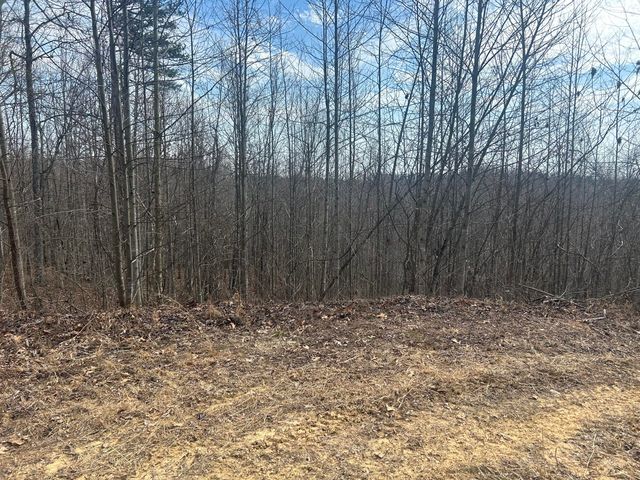 0 Left Fork Cains Creek Road, Blaine, KY 41124