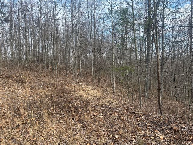 0 Left Fork Cains Creek Road, Blaine, KY 41124