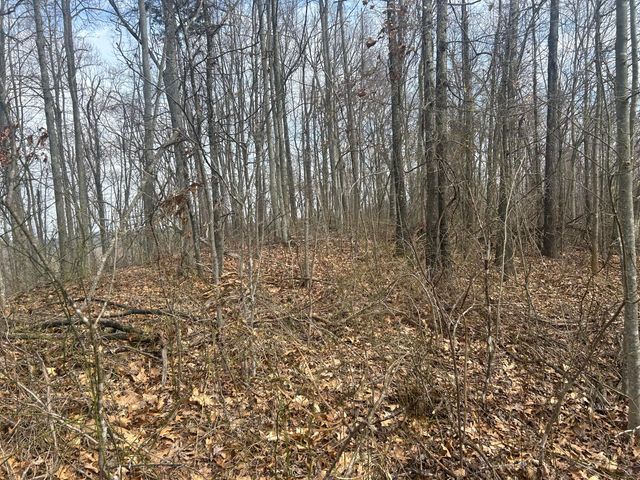 0 Left Fork Cains Creek Road, Blaine, KY 41124