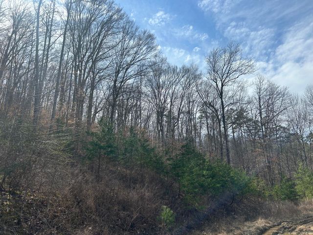 0 Left Fork Cains Creek Road, Blaine, KY 41124