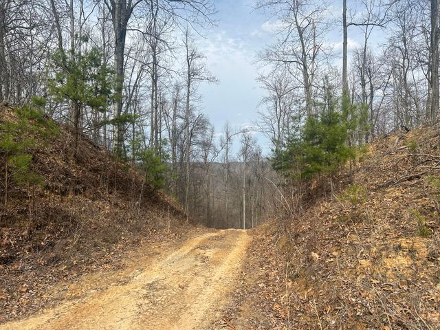 0 Left Fork Cains Creek Road, Blaine, KY 41124