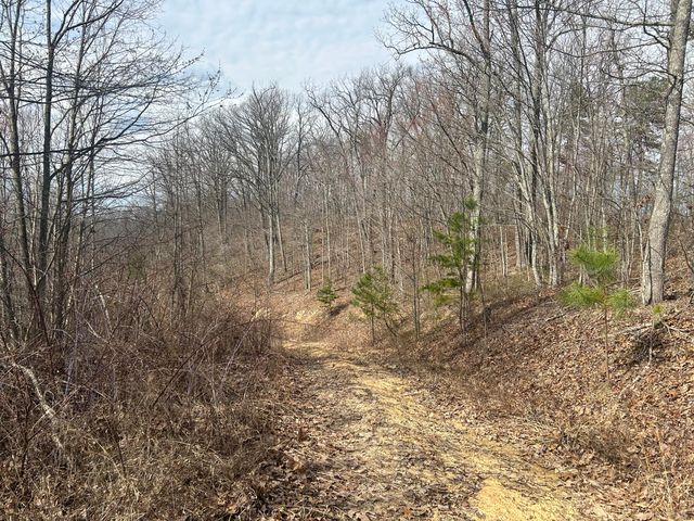 0 Left Fork Cains Creek Road, Blaine, KY 41124