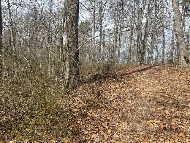 0 Left Fork Cains Creek Road, Blaine, KY 41124