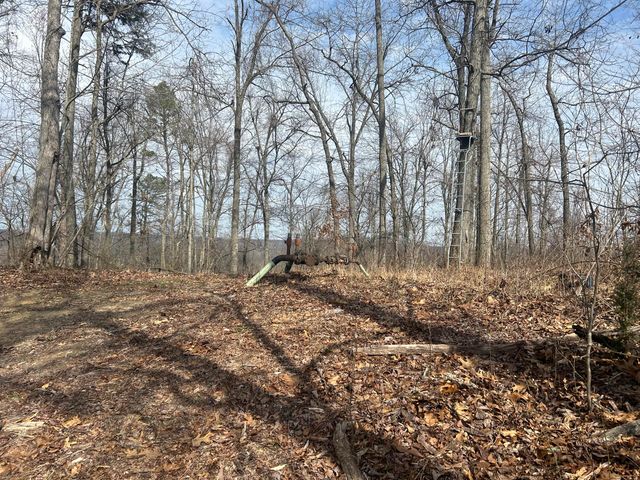 0 Left Fork Cains Creek Road, Blaine, KY 41124