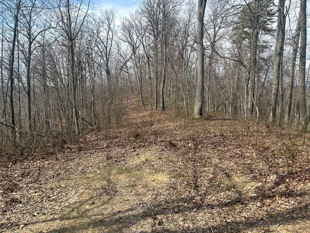 0 Left Fork Cains Creek Road, Blaine, KY 41124