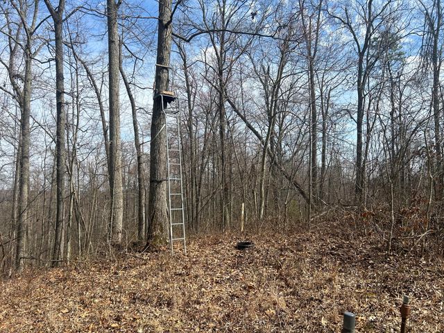 0 Left Fork Cains Creek Road, Blaine, KY 41124