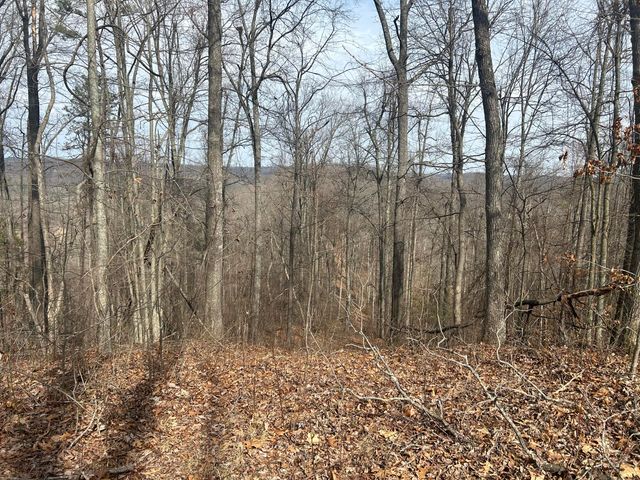 0 Left Fork Cains Creek Road, Blaine, KY 41124