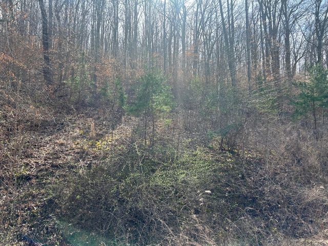 0 Left Fork Cains Creek Road, Blaine, KY 41124