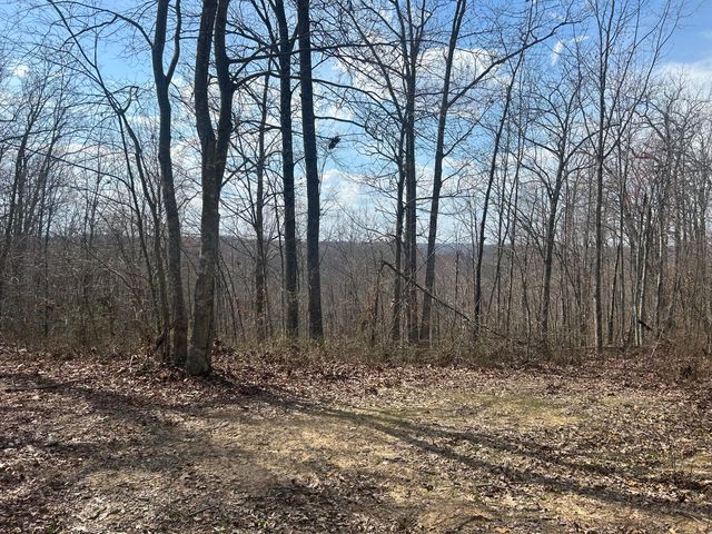 0 Left Fork Cains Creek Road, Blaine, KY 41124