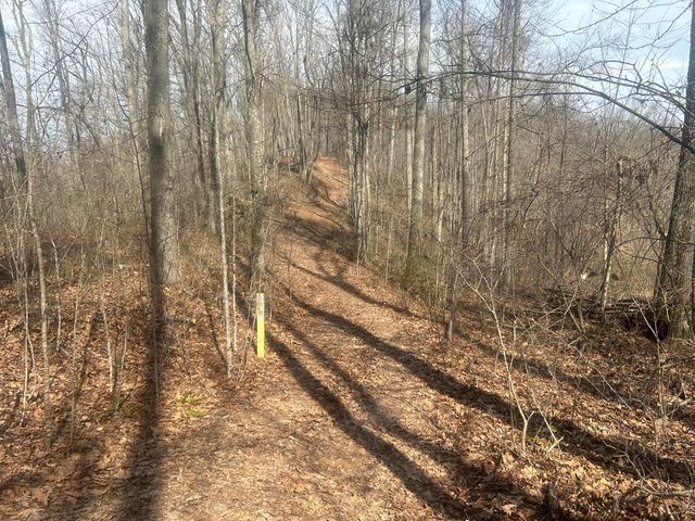 0 Left Fork Cains Creek Road, Blaine, KY 41124