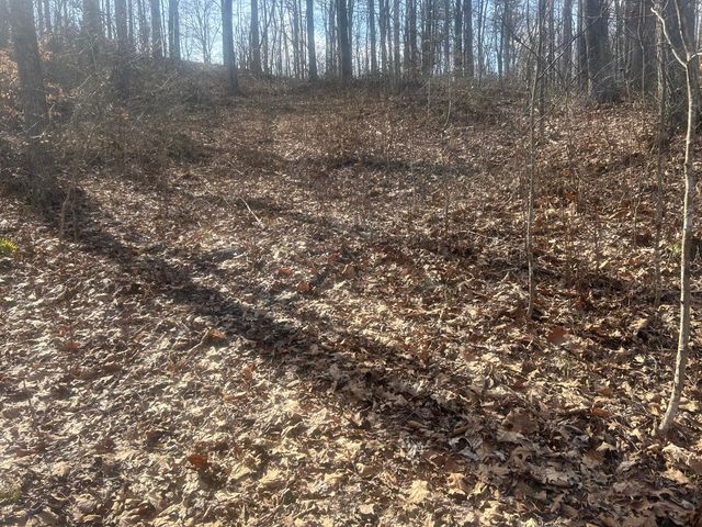 0 Left Fork Cains Creek Road, Blaine, KY 41124