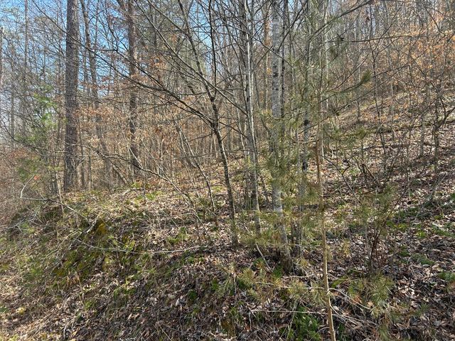 0 Left Fork Cains Creek Road, Blaine, KY 41124