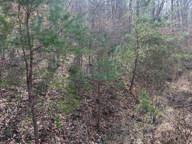 0 Left Fork Cains Creek Road, Blaine, KY 41124