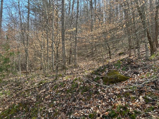 0 Left Fork Cains Creek Road, Blaine, KY 41124