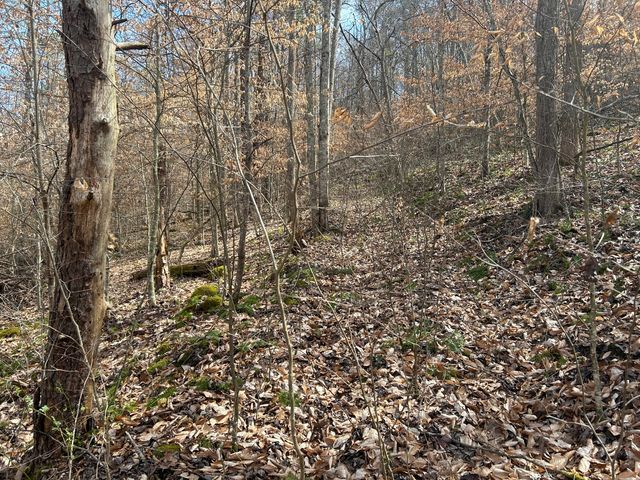 0 Left Fork Cains Creek Road, Blaine, KY 41124