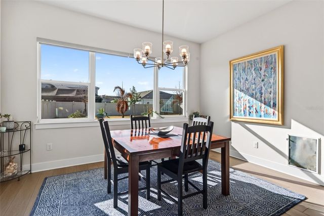 8903 DRUMMER PLANK DRIVE, Wesley Chapel, FL 33545