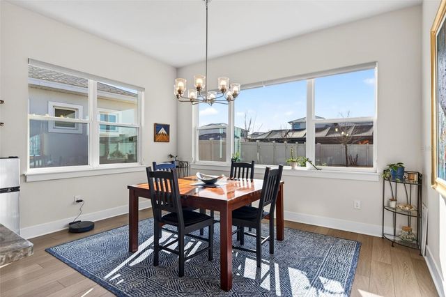 8903 DRUMMER PLANK DRIVE, Wesley Chapel, FL 33545