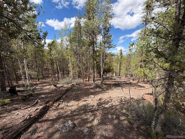 105 Parry Peak Dr, Twin Lakes, CO 81251
