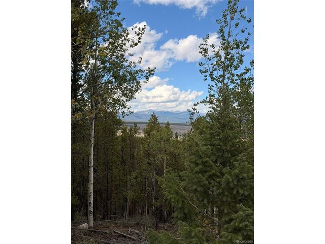 105 Parry Peak Dr, Twin Lakes, CO 81251