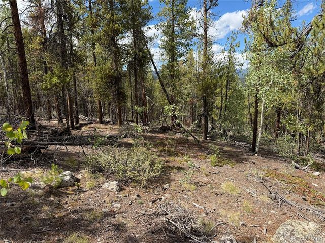 105 Parry Peak Dr, Twin Lakes, CO 81251