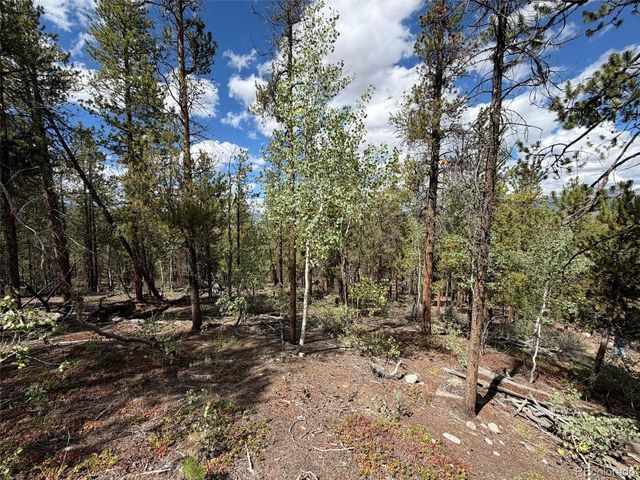 105 Parry Peak Dr, Twin Lakes, CO 81251