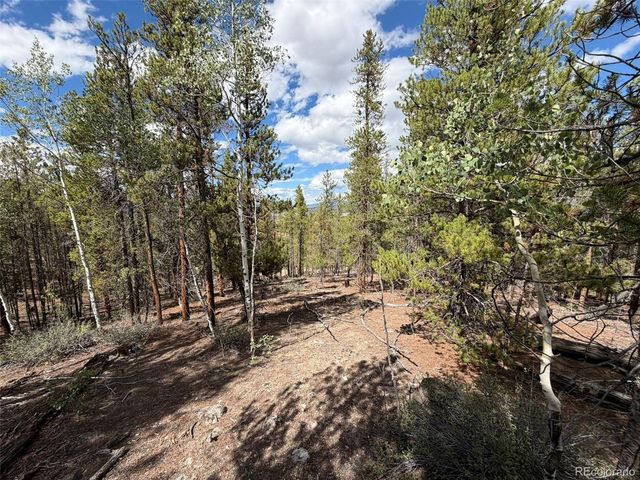 105 Parry Peak Dr, Twin Lakes, CO 81251