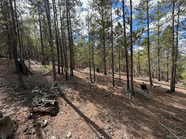 105 Parry Peak Dr, Twin Lakes, CO 81251