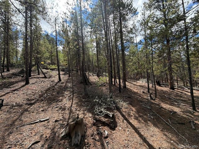 105 Parry Peak Dr, Twin Lakes, CO 81251