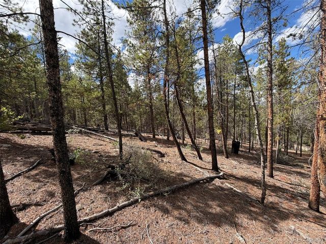 105 Parry Peak Dr, Twin Lakes, CO 81251