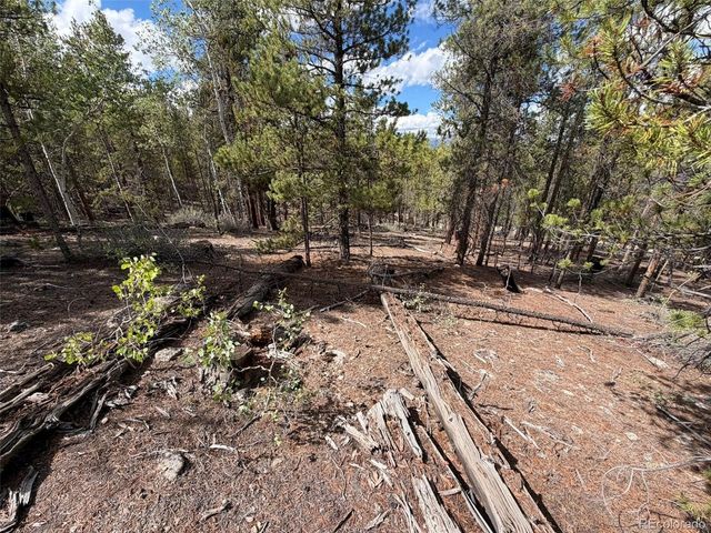 105 Parry Peak Dr, Twin Lakes, CO 81251