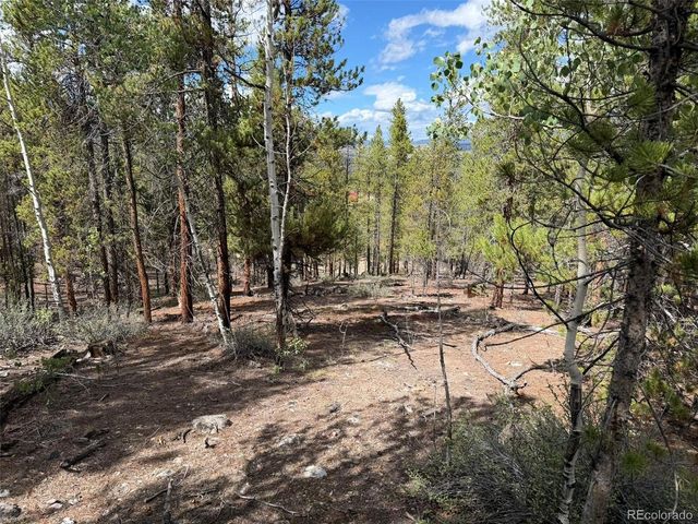 105 Parry Peak Dr, Twin Lakes, CO 81251