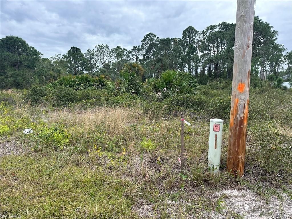 650 Knapp ST, LEHIGH ACRES, FL 33974 — photo 3