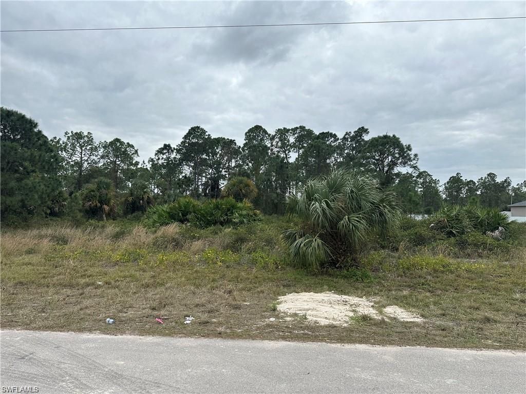 650 Knapp ST, LEHIGH ACRES, FL 33974 — photo 4