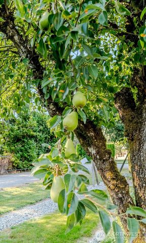 23425 SE 440th Street, Enumclaw, WA 98022