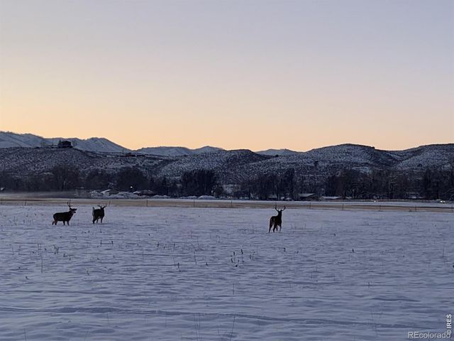 3501 Galway Drive, Laporte, CO 80535