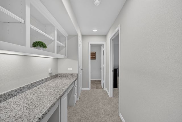 1823 Passion Flower Road, Frisco, TX 75033