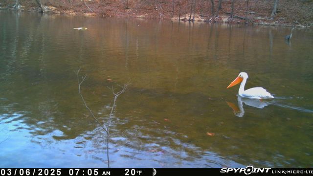 54901 E 355 Road, Jay, OK 74346